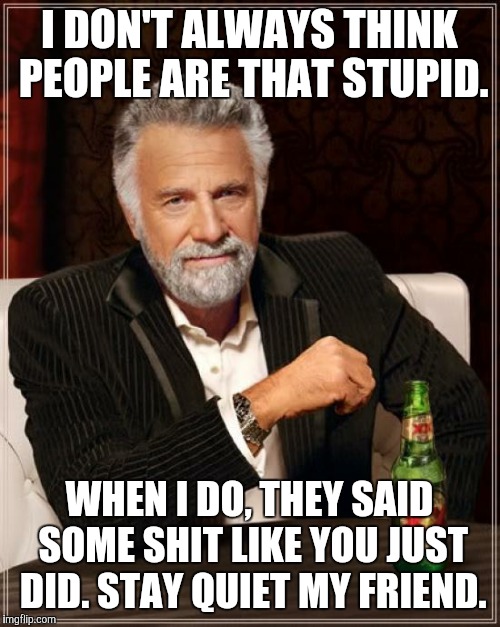 The Most Interesting Man In The World | I DON'T ALWAYS THINK PEOPLE ARE THAT STUPID. WHEN I DO, THEY SAID SOME SHIT LIKE YOU JUST DID. STAY QUIET MY FRIEND. | image tagged in memes,the most interesting man in the world | made w/ Imgflip meme maker
