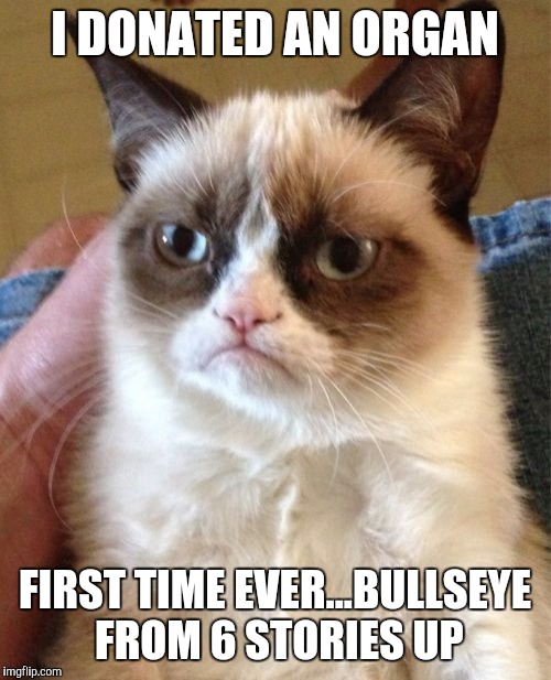 Grumpy Cat | I DONATED AN ORGAN; FIRST TIME EVER...BULLSEYE FROM 6 STORIES UP | image tagged in memes,grumpy cat | made w/ Imgflip meme maker