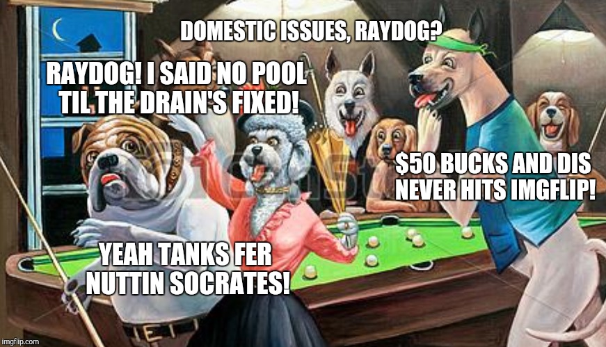 Hope the Imgflip family has a great Memorial Day 2016 - Esp. those of you who served. | DOMESTIC ISSUES, RAYDOG? RAYDOG! I SAID NO POOL TIL THE DRAIN'S FIXED! $50 BUCKS AND DIS NEVER HITS IMGFLIP! YEAH TANKS FER NUTTIN SOCRATES! | image tagged in dogs | made w/ Imgflip meme maker