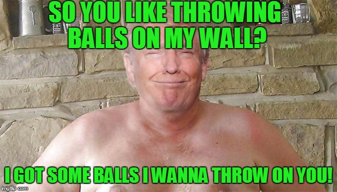 SO YOU LIKE THROWING BALLS ON MY WALL? I GOT SOME BALLS I WANNA THROW ON YOU! | made w/ Imgflip meme maker