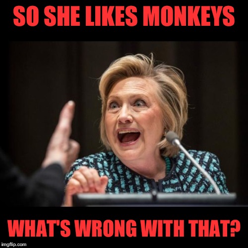 SO SHE LIKES MONKEYS WHAT'S WRONG WITH THAT? | made w/ Imgflip meme maker