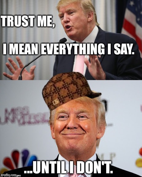 An Anti-Trump Meme