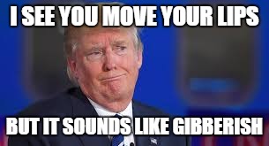 Donald Trump | I SEE YOU MOVE YOUR LIPS; BUT IT SOUNDS LIKE GIBBERISH | image tagged in gibberish,donald trump confused,donald trump,i see you move your lips but it sounds like gibberish,memes | made w/ Imgflip meme maker