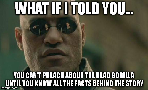 Matrix Morpheus | WHAT IF I TOLD YOU... YOU CAN'T PREACH ABOUT THE DEAD GORILLA UNTIL YOU KNOW ALL THE FACTS BEHIND THE STORY | image tagged in memes,matrix morpheus | made w/ Imgflip meme maker