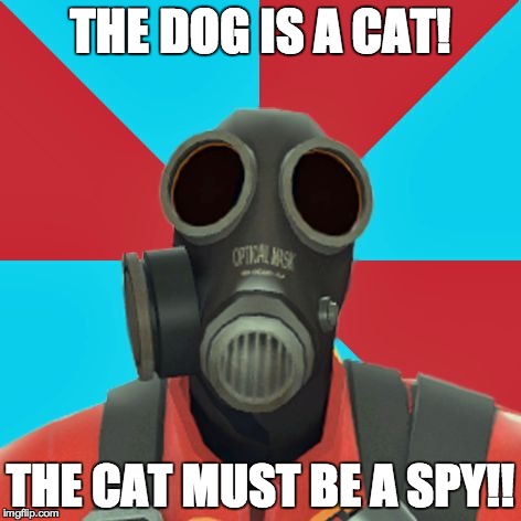 Paranoid Pyro | THE DOG IS A CAT! THE CAT MUST BE A SPY!! | image tagged in paranoid pyro | made w/ Imgflip meme maker