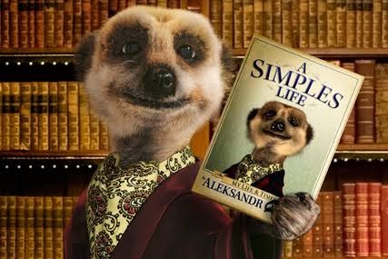 Simples Sergei Blank Meme Template