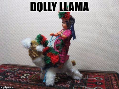 DOLLY LLAMA | image tagged in llama | made w/ Imgflip meme maker