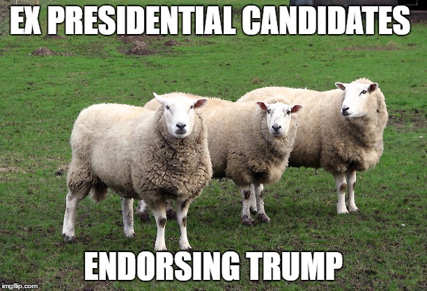 EX PRESIDENTIAL CANDIDATES; ENDORSING TRUMP | image tagged in sheep | made w/ Imgflip meme maker