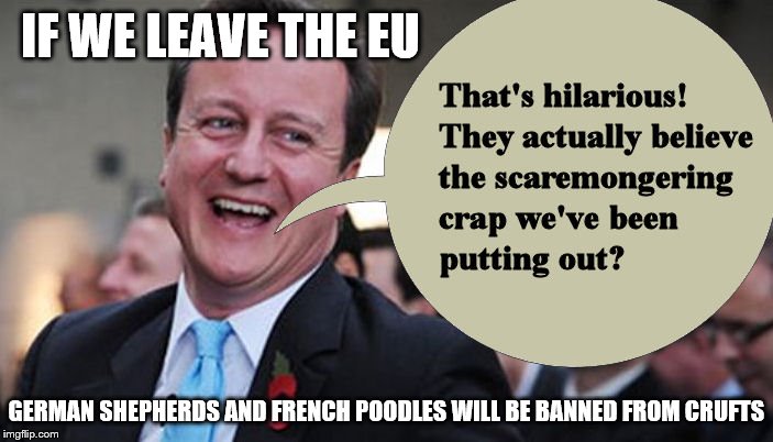 If we leave the EU | IF WE LEAVE THE EU; GERMAN SHEPHERDS AND FRENCH POODLES WILL BE BANNED FROM CRUFTS | image tagged in david cameron,eu | made w/ Imgflip meme maker