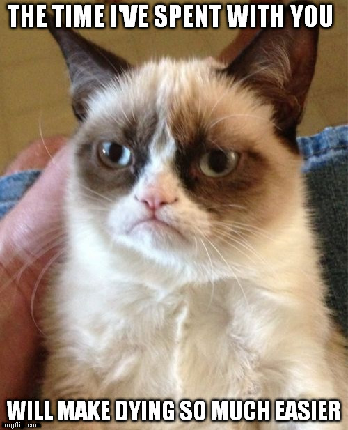 Grumpy Cat Meme | THE TIME I'VE SPENT WITH YOU; WILL MAKE DYING SO MUCH EASIER | image tagged in memes,grumpy cat | made w/ Imgflip meme maker