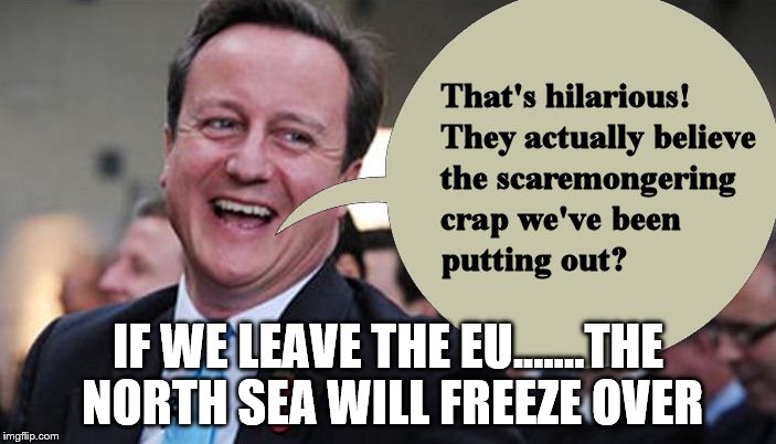 Cameron tells the truth | IF WE LEAVE THE EU.......THE NORTH SEA WILL FREEZE OVER | image tagged in david cameron | made w/ Imgflip meme maker