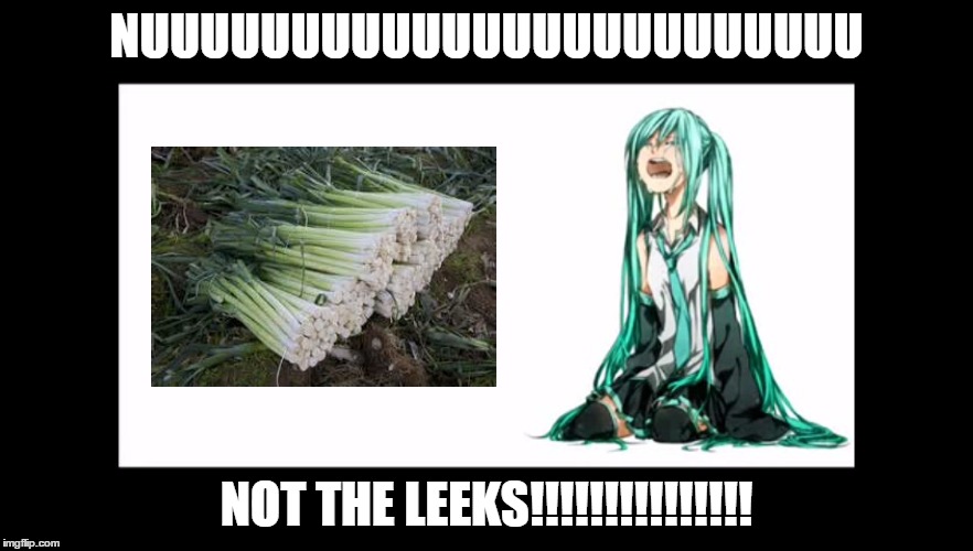 crying miku hatsune | NUUUUUUUUUUUUUUUUUUUUUUUU; NOT THE LEEKS!!!!!!!!!!!!!!! | image tagged in crying miku hatsune | made w/ Imgflip meme maker