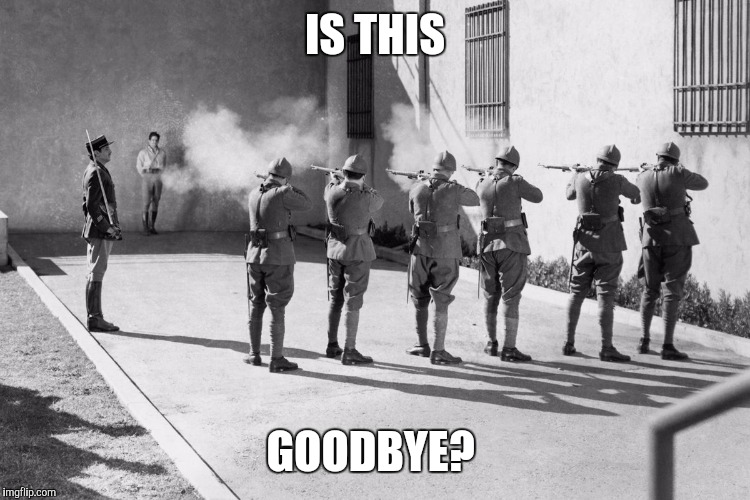 firing squad | IS THIS; GOODBYE? | image tagged in firing squad | made w/ Imgflip meme maker