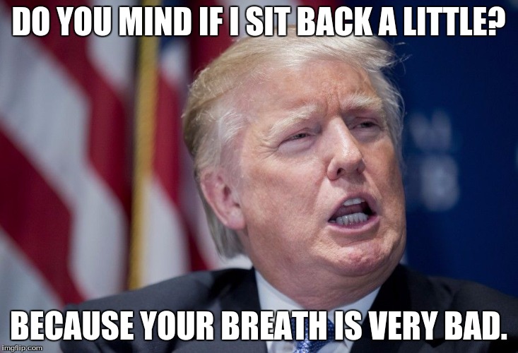 Donald Trump Derp | DO YOU MIND IF I SIT BACK A LITTLE? BECAUSE YOUR BREATH IS VERY BAD. | image tagged in donald trump derp | made w/ Imgflip meme maker