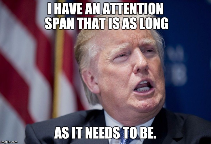 Donald Trump Derp | I HAVE AN ATTENTION SPAN THAT IS AS LONG; AS IT NEEDS TO BE. | image tagged in donald trump derp | made w/ Imgflip meme maker