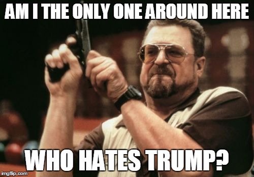 Am I The Only One Around Here Meme | AM I THE ONLY ONE AROUND HERE; WHO HATES TRUMP? | image tagged in memes,am i the only one around here | made w/ Imgflip meme maker