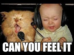 rock out | CAN YOU FEEL IT | image tagged in memes,funny,cats | made w/ Imgflip meme maker