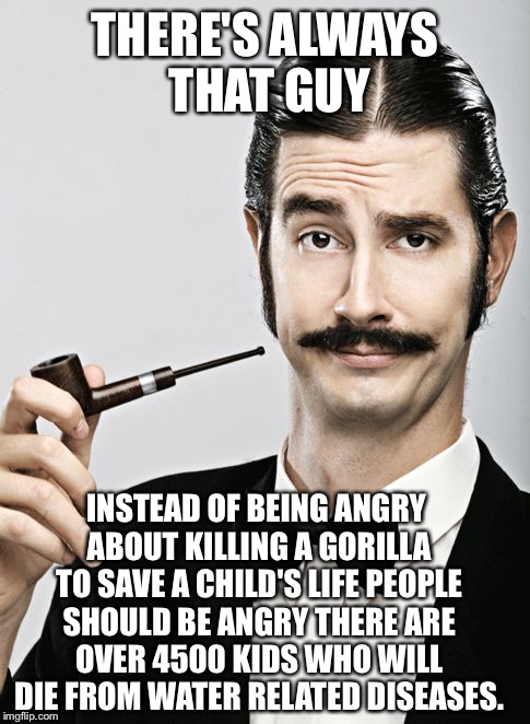 snob | THERE'S ALWAYS THAT GUY; INSTEAD OF BEING ANGRY ABOUT KILLING A GORILLA TO SAVE A CHILD'S LIFE PEOPLE SHOULD BE ANGRY THERE ARE OVER 4500 KIDS WHO WILL DIE FROM WATER RELATED DISEASES. | image tagged in snob | made w/ Imgflip meme maker