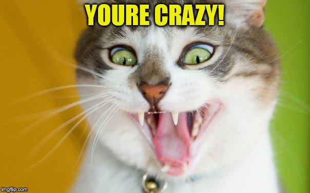 YOURE CRAZY! | made w/ Imgflip meme maker