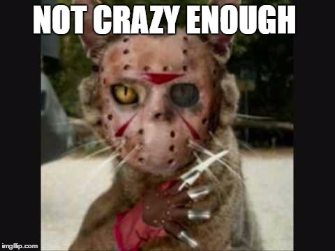 NOT CRAZY ENOUGH | made w/ Imgflip meme maker