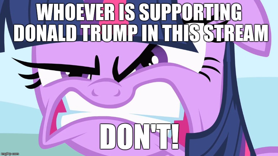 ANGRY Twilight | WHOEVER IS SUPPORTING DONALD TRUMP IN THIS STREAM; DON'T! | image tagged in angry twilight | made w/ Imgflip meme maker