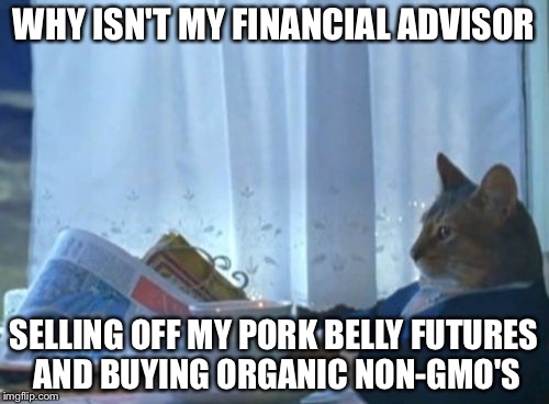 I Should Buy A Boat Cat Meme | WHY ISN'T MY FINANCIAL ADVISOR; SELLING OFF MY PORK BELLY FUTURES AND BUYING ORGANIC NON-GMO'S | image tagged in memes,i should buy a boat cat | made w/ Imgflip meme maker