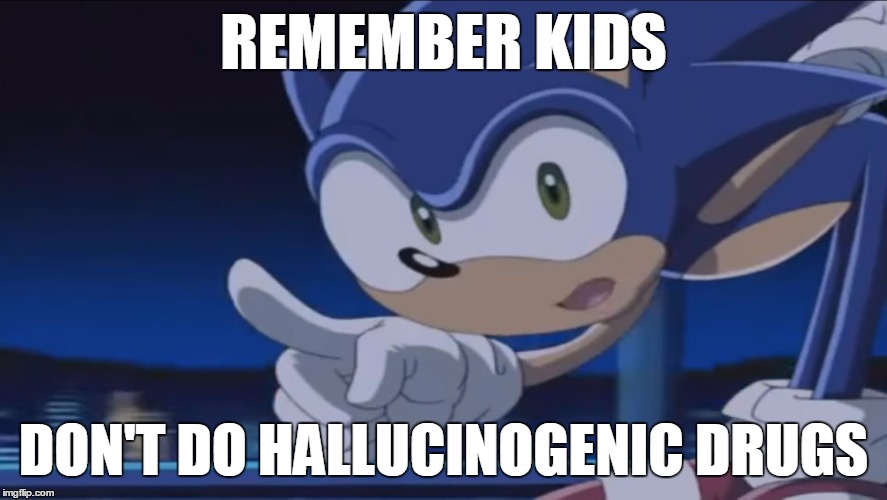 Kids, Don't - Sonic X | REMEMBER KIDS DON'T DO HALLUCINOGENIC DRUGS | image tagged in kids don't - sonic x | made w/ Imgflip meme maker