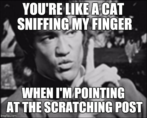 Paraphrased  | YOU'RE LIKE A CAT SNIFFING MY FINGER; WHEN I'M POINTING AT THE SCRATCHING POST | image tagged in one bruce lee | made w/ Imgflip meme maker