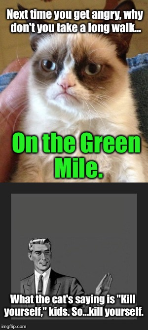 Woke Up, And This Popped In My Head: | Next time you get angry, why don't you take a long walk... On the Green Mile. What the cat's saying is "Kill yourself," kids. So...kill yourself. | image tagged in memes,grumpy cat,kill yourself guy | made w/ Imgflip meme maker