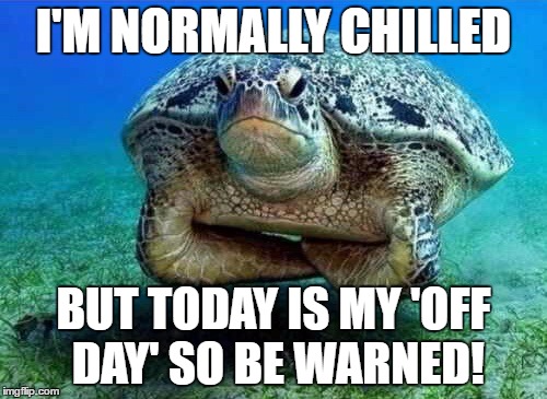 Disappointed sea turtle | I'M NORMALLY CHILLED; BUT TODAY IS MY 'OFF DAY' SO BE WARNED! | image tagged in disappointed sea turtle | made w/ Imgflip meme maker