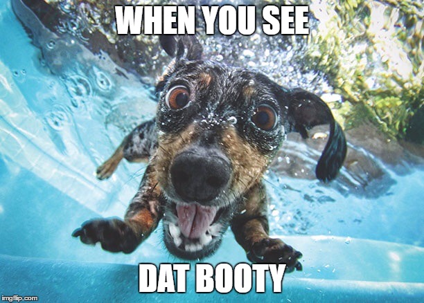 Dog | WHEN YOU SEE; DAT BOOTY | image tagged in dog | made w/ Imgflip meme maker