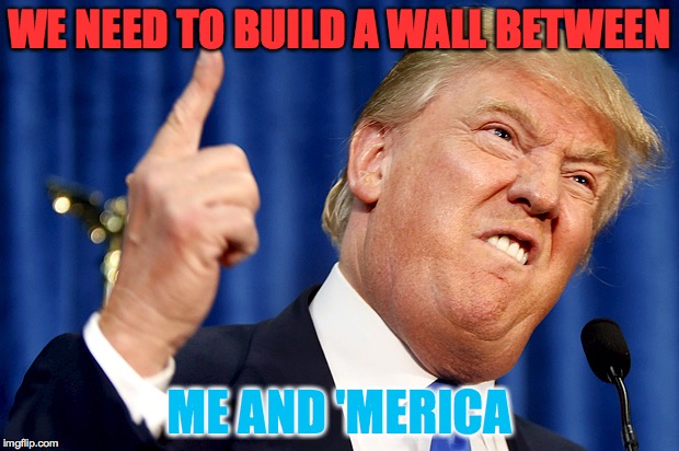 Donald Trump | WE NEED TO BUILD A WALL BETWEEN; ME AND 'MERICA | image tagged in donald trump | made w/ Imgflip meme maker