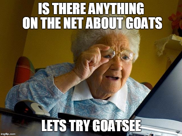 Grandma Finds The Internet Meme | IS THERE ANYTHING ON THE NET ABOUT GOATS; LETS TRY GOATSEE | image tagged in memes,grandma finds the internet | made w/ Imgflip meme maker