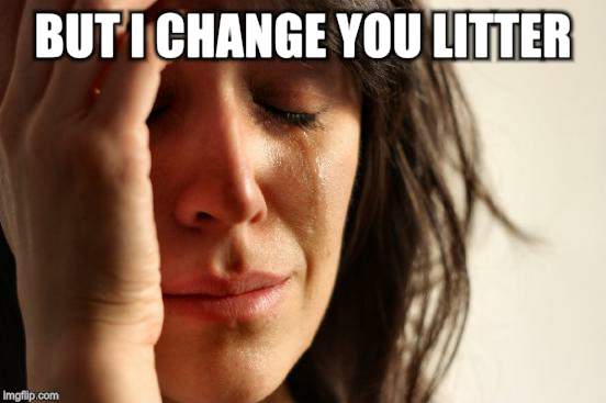 First World Problems Meme | BUT I CHANGE YOU LITTER | image tagged in memes,first world problems | made w/ Imgflip meme maker