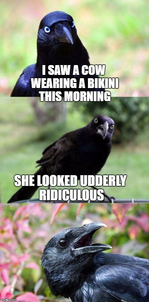 bad pun crow | I SAW A COW WEARING A BIKINI THIS MORNING; SHE LOOKED UDDERLY RIDICULOUS | image tagged in bad pun crow | made w/ Imgflip meme maker