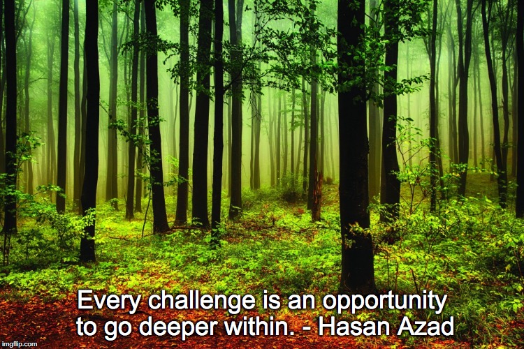 Every challenge is an opportunity to go deeper within. - Hasan Azad | Every challenge is an opportunity to go deeper within.
- Hasan Azad | image tagged in challenge inspire grow heal insight wellbeing health learn | made w/ Imgflip meme maker