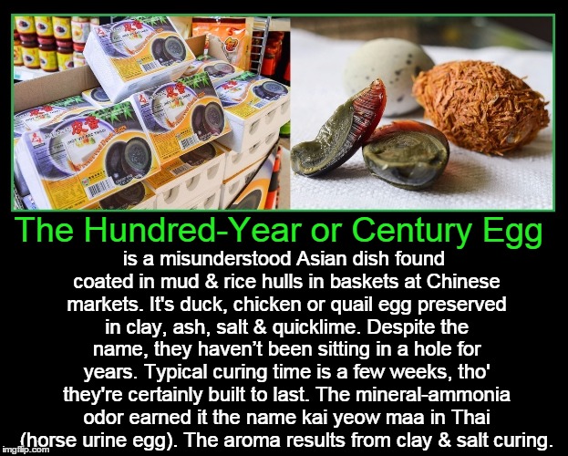 The Hundred Year Egg | is a misunderstood Asian dish found coated in mud & rice hulls in baskets at Chinese markets. It's duck, chicken or quail egg preserved in clay, ash, salt & quicklime. Despite the name, they haven’t been sitting in a hole for years. Typical curing time is a few weeks, tho' they're certainly built to last. The mineral-ammonia odor earned it the name kai yeow maa in Thai (horse urine egg). The aroma results from clay & salt curing. The Hundred-Year or Century Egg | image tagged in vince vance,kai yeow maa,thai dishes,weird food chinese markets,century egg,bizarre food | made w/ Imgflip meme maker