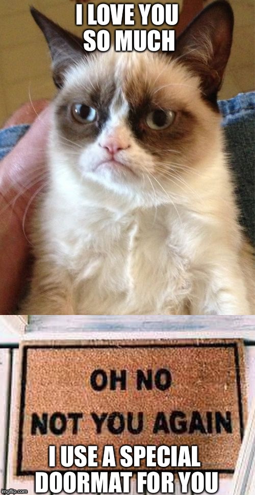 Grumpy Cat's Doormat | I LOVE YOU SO MUCH; I USE A SPECIAL DOORMAT FOR YOU | image tagged in grumpy cat,doormat | made w/ Imgflip meme maker