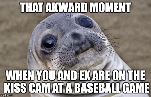 Awkward Moment Sealion | THAT AKWARD MOMENT; WHEN YOU AND EX ARE ON THE KISS CAM AT A BASEBALL GAME | image tagged in memes,awkward moment sealion | made w/ Imgflip meme maker