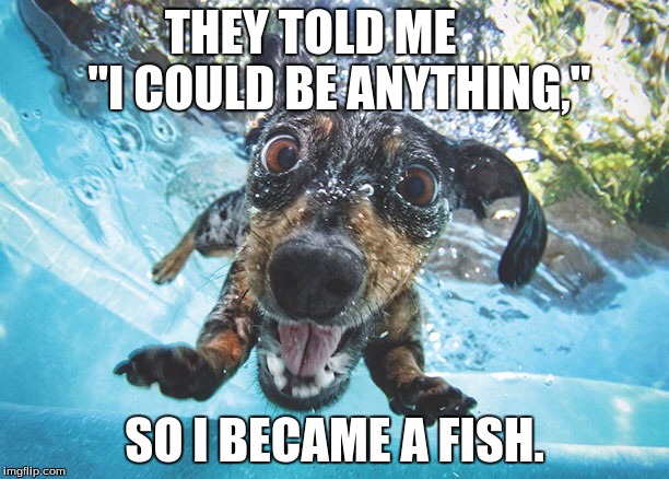 How People Follow Their Dreams | THEY TOLD ME      "I COULD BE ANYTHING,"; SO I BECAME A FISH. | image tagged in dog,memes,they told me i could be anything,fish,pool | made w/ Imgflip meme maker