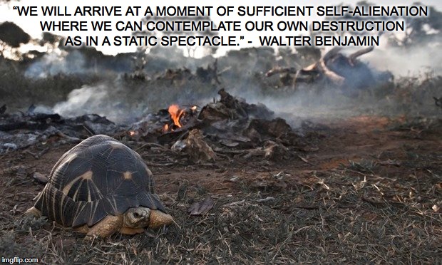 “WE WILL ARRIVE AT A MOMENT OF SUFFICIENT SELF-ALIENATION WHERE WE CAN CONTEMPLATE OUR OWN DESTRUCTION AS IN A STATIC SPECTACLE.” -  WALTER BENJAMIN | image tagged in environment destruction savetheplanet | made w/ Imgflip meme maker