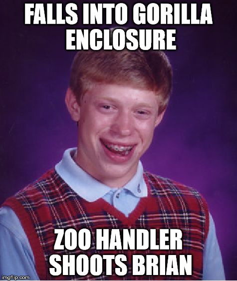 Bad Luck Brian | FALLS INTO GORILLA ENCLOSURE; ZOO HANDLER SHOOTS BRIAN | image tagged in memes,bad luck brian | made w/ Imgflip meme maker