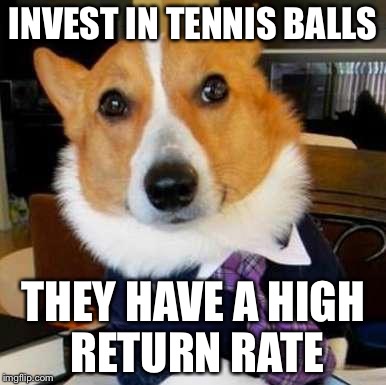 Dog logic | INVEST IN TENNIS BALLS; THEY HAVE A HIGH RETURN RATE | image tagged in lawyer dog | made w/ Imgflip meme maker