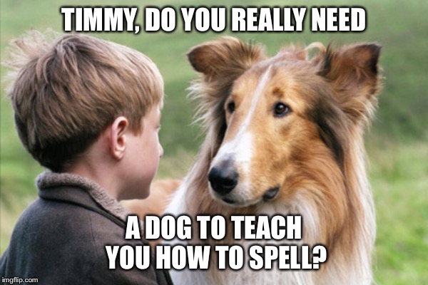 TIMMY, DO YOU REALLY NEED A DOG TO TEACH YOU HOW TO SPELL? | made w/ Imgflip meme maker