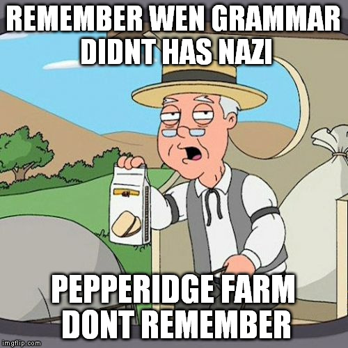 Pepperidge Farm Remembers | REMEMBER WEN GRAMMAR DIDNT HAS NAZI; PEPPERIDGE FARM DONT REMEMBER | image tagged in memes,pepperidge farm remembers | made w/ Imgflip meme maker
