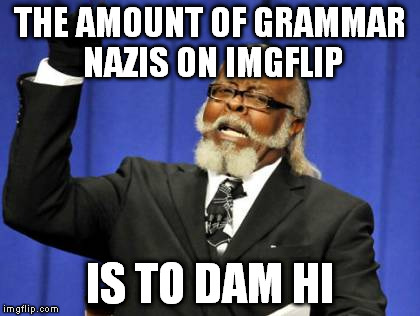 Too Damn High Meme | THE AMOUNT OF GRAMMAR NAZIS ON IMGFLIP; IS TO DAM HI | image tagged in memes,too damn high | made w/ Imgflip meme maker