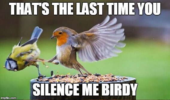 THAT'S THE LAST TIME YOU SILENCE ME BIRDY | made w/ Imgflip meme maker