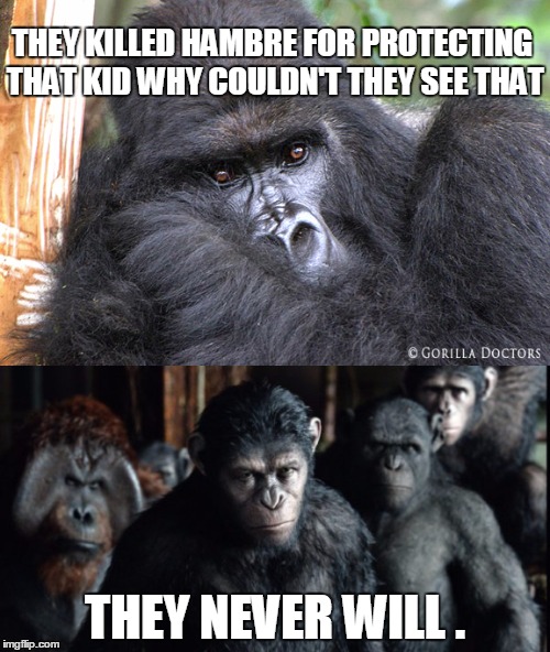RIP hambre | THEY KILLED HAMBRE FOR PROTECTING THAT KID WHY COULDN'T THEY SEE THAT; THEY NEVER WILL . | image tagged in gorilla,feels | made w/ Imgflip meme maker
