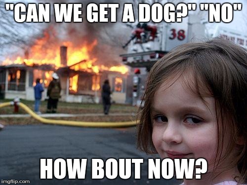 Disaster Girl | "CAN WE GET A DOG?" "NO"; HOW BOUT NOW? | image tagged in memes,disaster girl | made w/ Imgflip meme maker