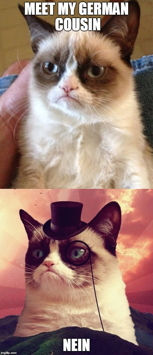 MEET MY GERMAN COUSIN; NEIN | image tagged in grumpy cat,funny | made w/ Imgflip meme maker